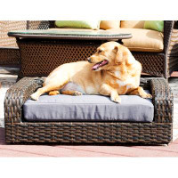 Tucker Murphy Pet™ Pastrana Rattan Dog Sofa