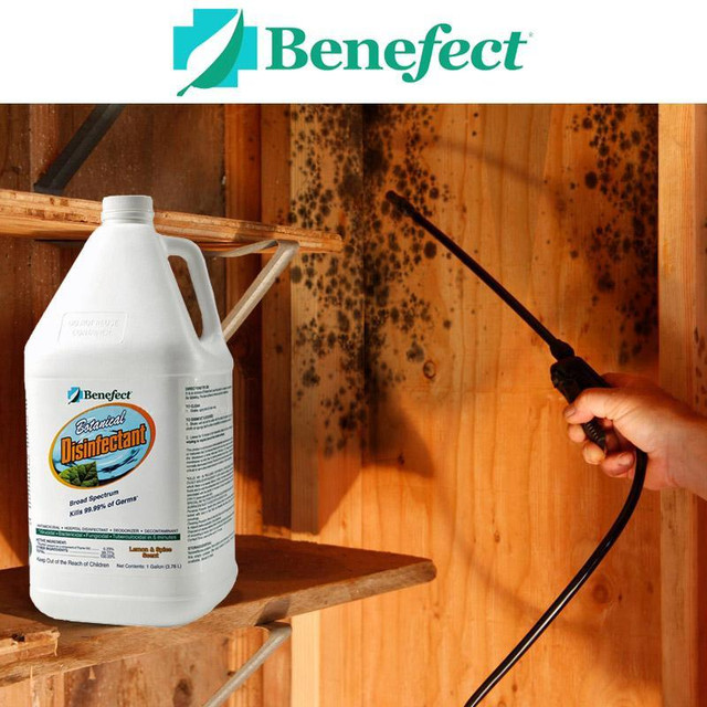 Botanical Disinfectant for Water Damage Restoration, Decontamination and Mold Remediation - Benefect Decon 30 in Other in Ontario - Image 2