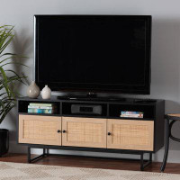 Bay Isle Home™ Salal TV Stand for TVs up to 55"