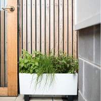 Symple Stuff Trower Self-Watering Plastic Elevated Planter