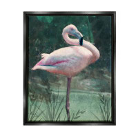 Bay Isle Home™ Bay Isle Home™ Flamingo Tropical Jungle Pond Framed Floater Canvas Wall Art By Nina Blue