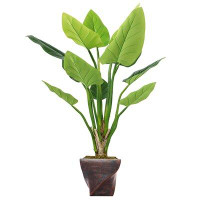 Vintage Home Panama Philodendron Plant in Planter