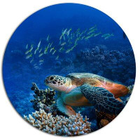 Made in Canada - Design Art 'Sea Turtle underwater' Photographic Print on Metal
