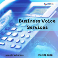 Best Business Phone and Voice Solution Services