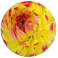 Made in Canada - Design Art 'Smooth Yellow Red Flower Petals' Photographic Print on Metal