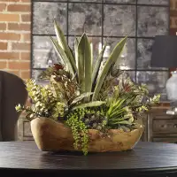 Uttermost Salar Succulent Plant in Teak Bowl