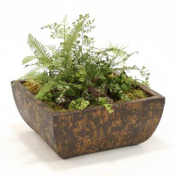 Distinctive Designs Artificial Ferns and Succulents in Planter