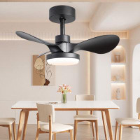 Wrought Studio 24 Inch Ceiling Fan With Lights Remote Control