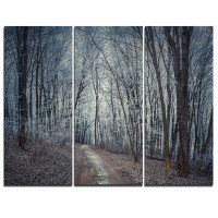 Made in Canada - Design Art Dense Grey Fall Forest Path - 3 Piece Graphic Art on Wrapped Canvas Set