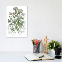 East Urban Home Flowering Plants IV - Wrapped Canvas Print