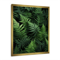 Bay Isle Home™ Ferns Plant Whispering Fronds I - Floral & Botanical Wall Art Prints FDP71405