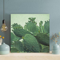 Foundry Select Green Cactus Plant In Close Up Photography 20 - 1 Piece Square Graphic Art Print On Wrapped Canvas