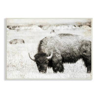 Stupell Industries Farmland Country Bison Bull Grazing Pasture Monochrome  By Daniel Sproul