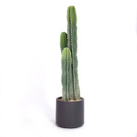 Laura Ashley Faux Cactus| 39” Tall |beautiful Faux Greenery| Vintage Home