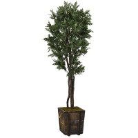 Rosecliff Heights Locust Tree in Wood Planter