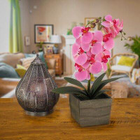 Primrue Orchid Floral Arrangements in Planter
