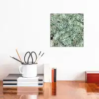 East Urban Home Succulent Bed - Wrapped Canvas Print