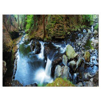 Design Art 'Creek with Hiking Trail Panorama' Photographic Print on Wrapped Canvas