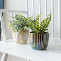 Ebern Designs Ifzal Ceramic Pot Planter