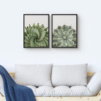 SIGNLEADER SIGNLEADER Framed Wall Art Collage Print Gallery Set Spiked Spiral Succulent Duo Botanical Plants Photography