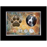 American Coin Treasures Rescued Year To Remember Dog 4 Coin Desk Frame
