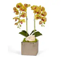 T&C Floral Company Orchid Floral Arrangement in Planter with Quartz