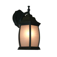 Charlton Home Digennaro 1-Light Outdoor Wall Lantern
