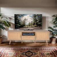 Bayou Breeze Latitude Run® 59" TV Stand For Up To 65 Inches TV, TV Console With 2 Hand Made Rattan Decorated Doors, Livi