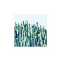 Union Rustic Cactus Plants Print On Acrylic Glass