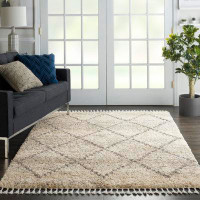 Foundry Select Foundry Select Drusilla Collection Scandinavian Shag Area Rug Ivory