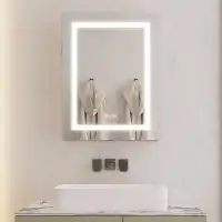 Ivy Bronx Dejhana Surface Mount Frameless 1 Door Medicine Cabinet with 2 Adjustable Shelves and LED Lighting and Electri