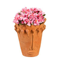 Wildon Home® Breonah Clay Pot Planter