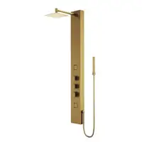 Kingsley 55 in. 2-Jet High Pressure Shower System w Fixed Rainhead in Matte Brushed Gold, Matte Black or Stainless   VGI