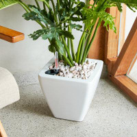Ebern Designs 2-Pack Smart Self-Watering Planter Pot For Indoor And Outdoor - White - Square Cone