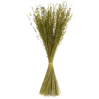 Vickerman Vickerman 30" Basil Princess Grass. Comes in 21oz (3 -7oz Bundles), Dried