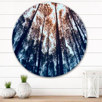 East Urban Home Tall Old Trees In Pine Forest Indonesia - Traditional Metal Circle Wall Art