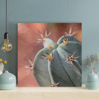Foundry Select Green Cactus Plant Macro Photography - Wrapped Canvas Painting