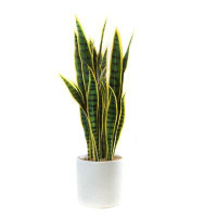 Wrought Studio Faux Snake Plant in Planter