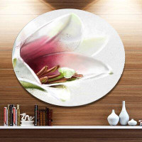 Made in Canada - Design Art 'Beautiful Lily Flower Watercolor' Oil Painting Print on Metal