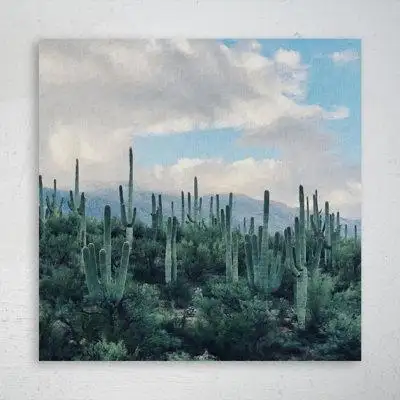Foundry Select Green Cactus Plant During Daytime 44 - 1 Piece Square Graphic Art Print On Wrapped Canvas