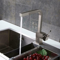 Contemporary Single Handle, Single Hole - Pull out, Brass Kitchen Faucet in Chrome or Brushed Nickel