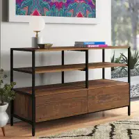 Steelside™ Isabelle TV Stand for TVs up to 55"