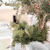 Ebern Designs Greece Summer Scenery With Plants Photo White Island Architecture