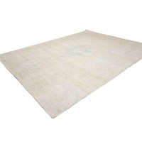 Isabelline Muted Beige Traditional 10X13 Oriental Area Rug