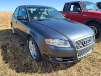 Parting out WRECKING: 2006 Audi A4 AWD Parts