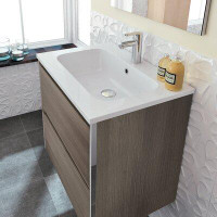 Latitude Run® Royo Finzel Collection 24" 2-Drawer Bathroom Vanity With Sink (Samara Ash)