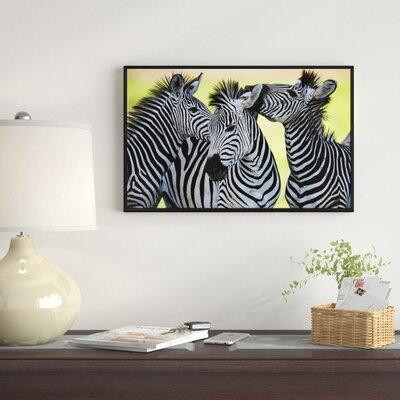 Made in Canada - East Urban Home 'Zebras Socializing and Kissing' Framed Photographic Print on Wrapped Canvas in Arts & Collectibles