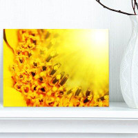 Design Art 'Bright Yellow Sunflower Close-Up' Photographic Print on Wrapped Canvas