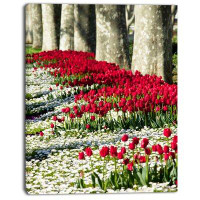 Made in Canada - Design Art 'Wild Tulip Flowers in Forest Pasture' Photographic Print on Wrapped Canvas