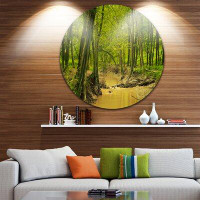 Design Art 'Creek in Wild Green Forest' Photographic Print on Metal